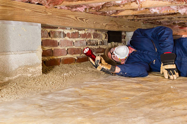 Crawl Space Moisture Intrusion