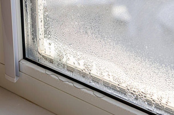 Window Seal